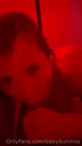 18425802