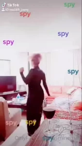 18456620