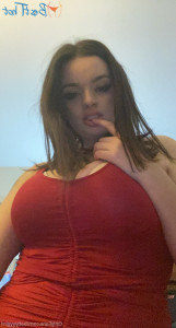 18447654