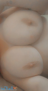 18448329