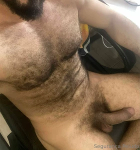 segurancapeludo