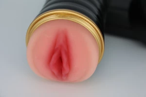 13665454