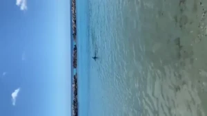 Italia kash VIP [ toochi_vip ] Onlyfans leaked video 1810795 on Hotleaks.tv