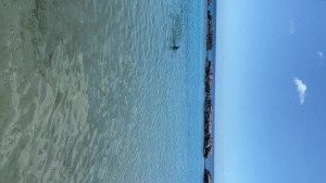 Italia kash VIP [ toochi_vip ] Onlyfans leaked video 2722461 on Hotleaks.tv