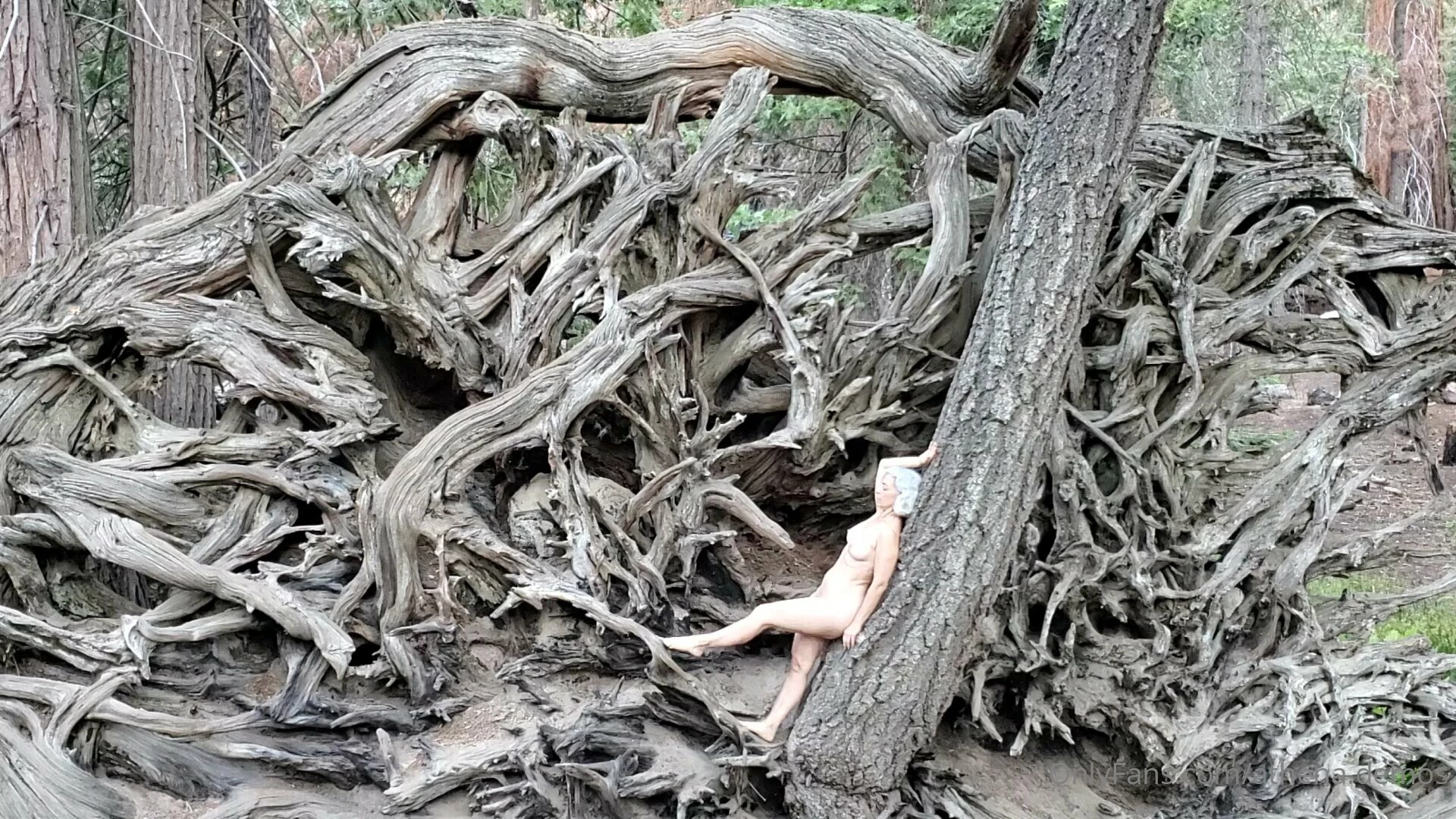 athena.demos [ athena-demos ] Onlyfans leaked photo 18454160 on Hotleaks.tv