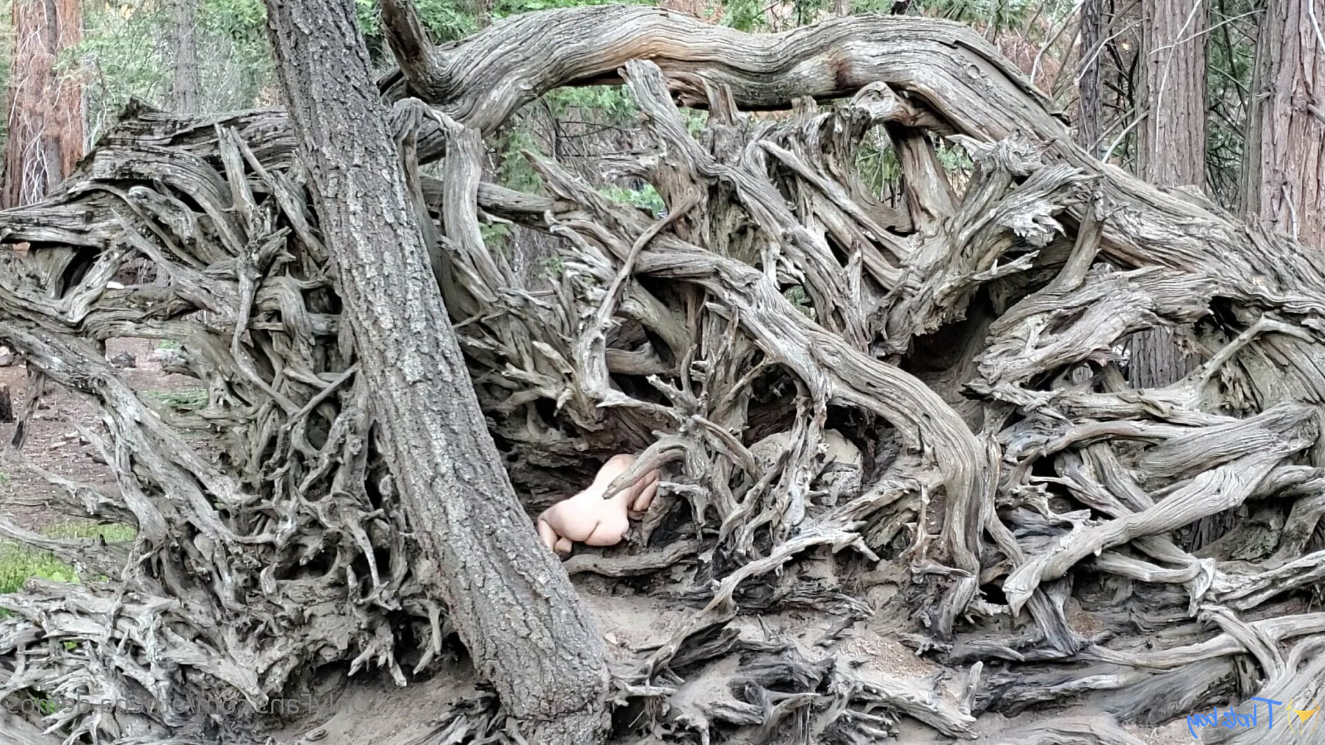athena.demos [ athena-demos ] Onlyfans leaked photo 18454163 on Hotleaks.tv