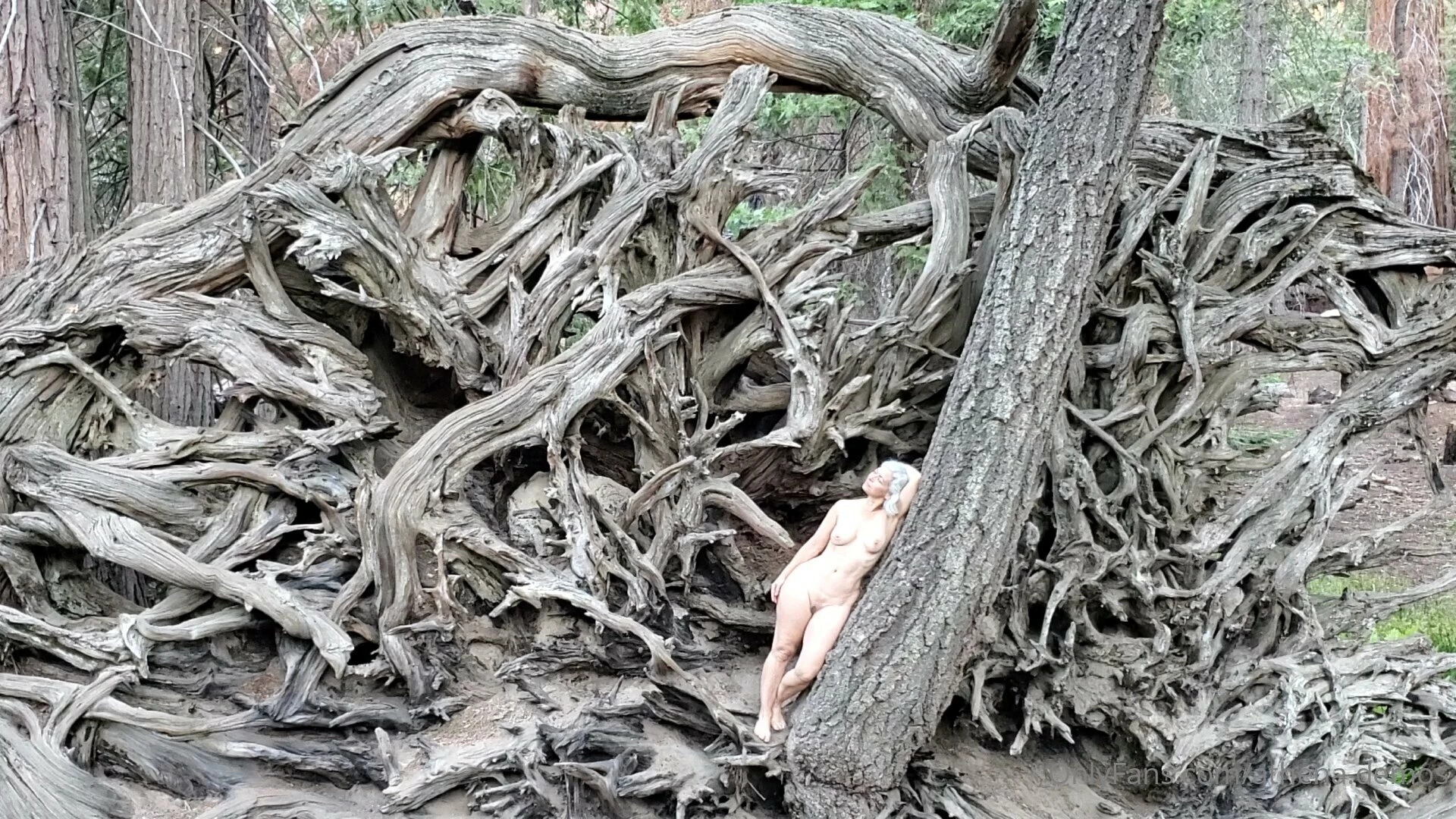 athena.demos [ athena-demos ] Onlyfans leaked photo 18454166 on Hotleaks.tv