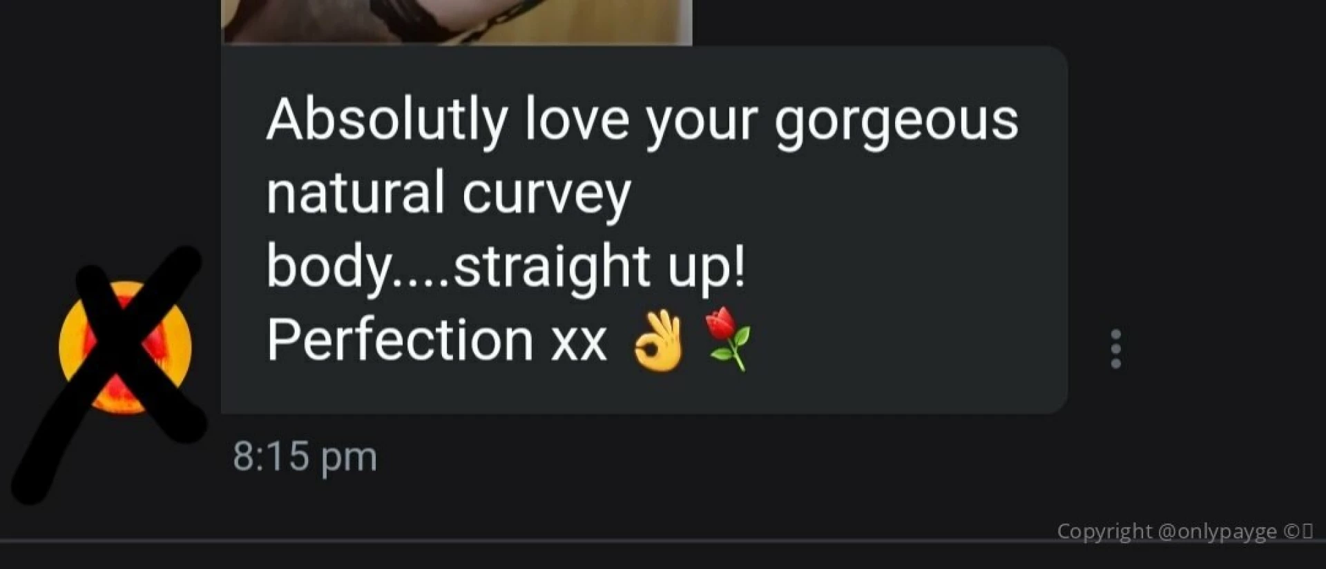 onlypayge Onlyfans leaked photo 18455341 on Hotleaks.tv