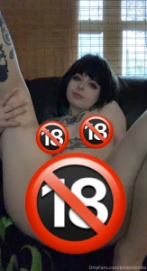 18456885