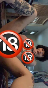 18456886