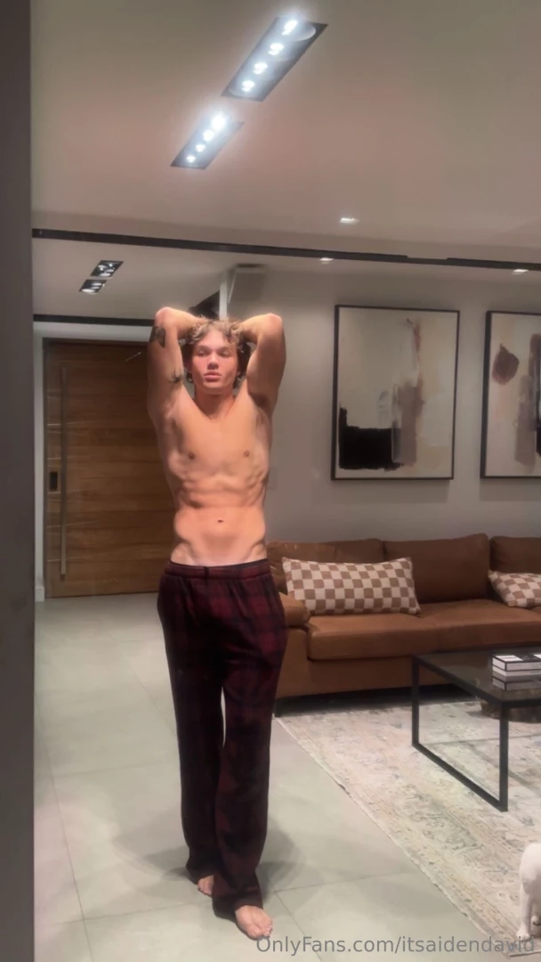 itsaidendavid Onlyfans leaked photo 18457175 on Hotleaks.tv