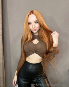 18462617