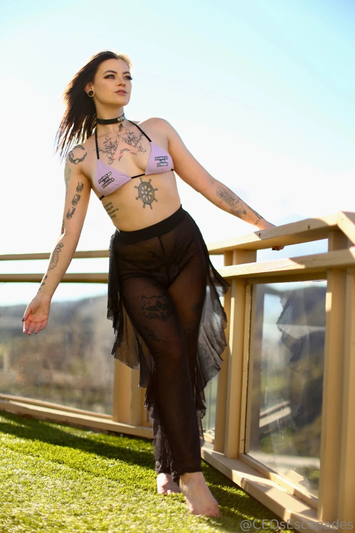 ceosescapades Onlyfans leaked photo 18465667 on Hotleaks.tv