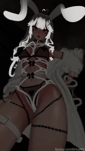 18509092