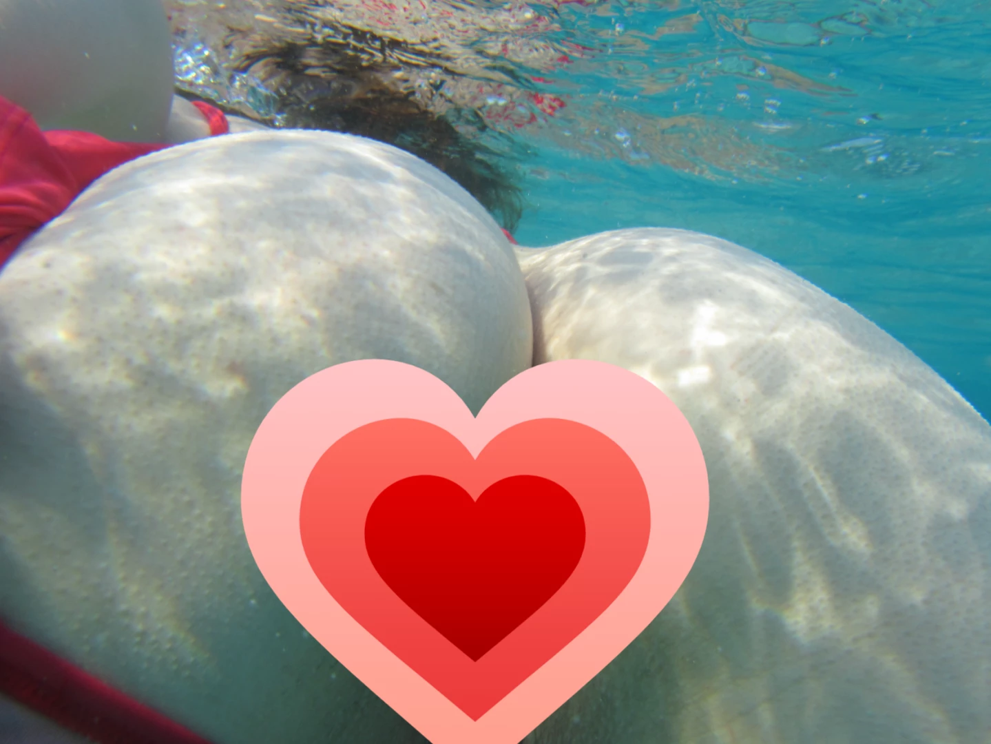 lovebanaxy Onlyfans leaked photo 18502701 on Hotleaks.tv