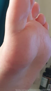 18528026