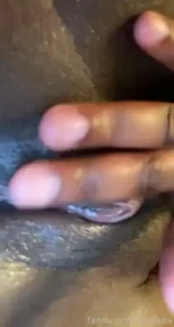 18528592