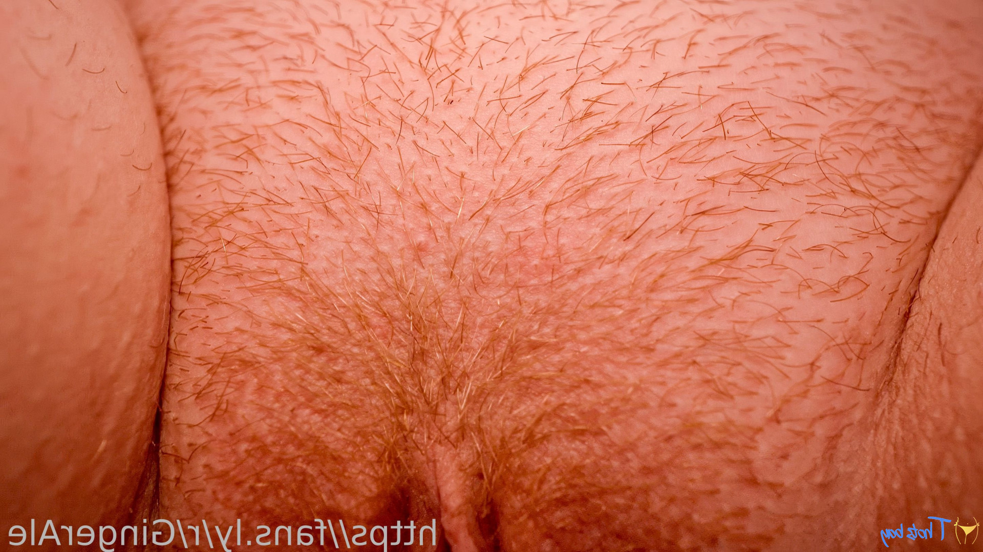 gingeralemilf Onlyfans leaked photo 18535308 on Hotleaks.tv