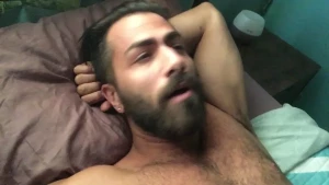 18575821