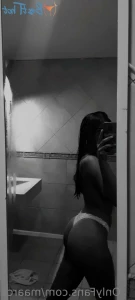18560269