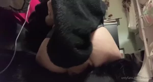 18547431