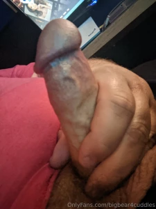 18557261