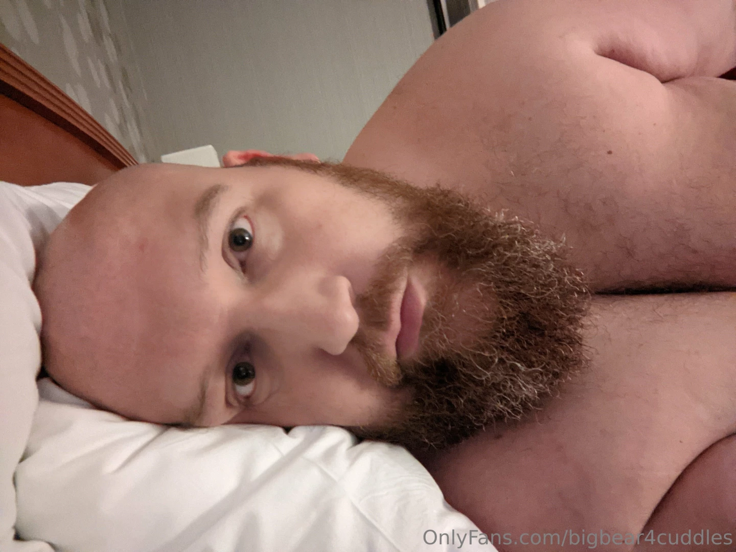 bigbear4cuddles Onlyfans leaked photo 18557702 on Hotleaks.tv