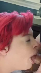 18558313