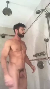 18557033