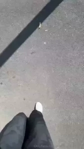 18553933