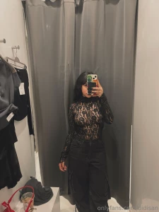 18556817