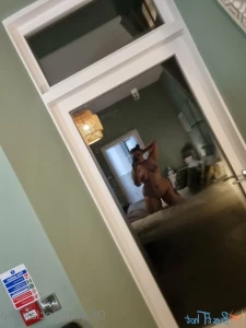 18556119