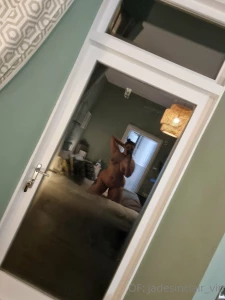 18556121