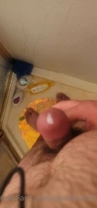 18554936