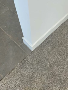 18555272