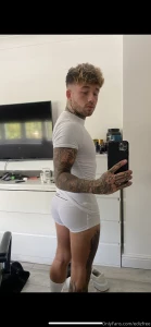 18556431