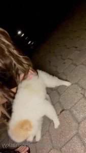 Vina Sky [ vinaskyy ] Onlyfans leaked video 2729530 on Hotleaks.tv