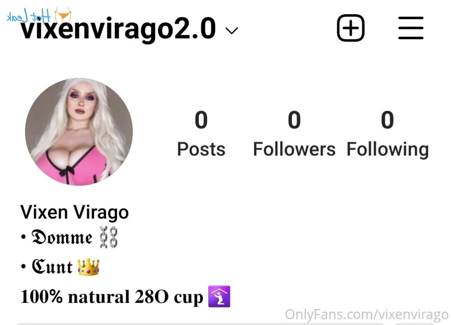 Vixen Virago [ vixenvirago ] Onlyfans leaked photo 11477680 on Hotleaks.tv