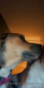vodkamilk Onlyfans leaked video 1837722 on Hotleaks.tv