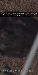 vodkamilk Onlyfans leaked video 1837752 on Hotleaks.tv