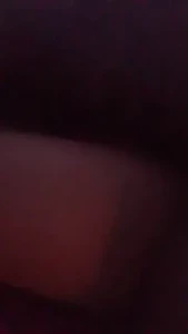 1838446