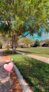 No PPV🦋BIG B🍑TY &amp; BUSTY ASIAN🦋Top 0.9%⭐️ [ wildasianflower ] Onlyfans leaked video 1841759 on Hotleaks.tv