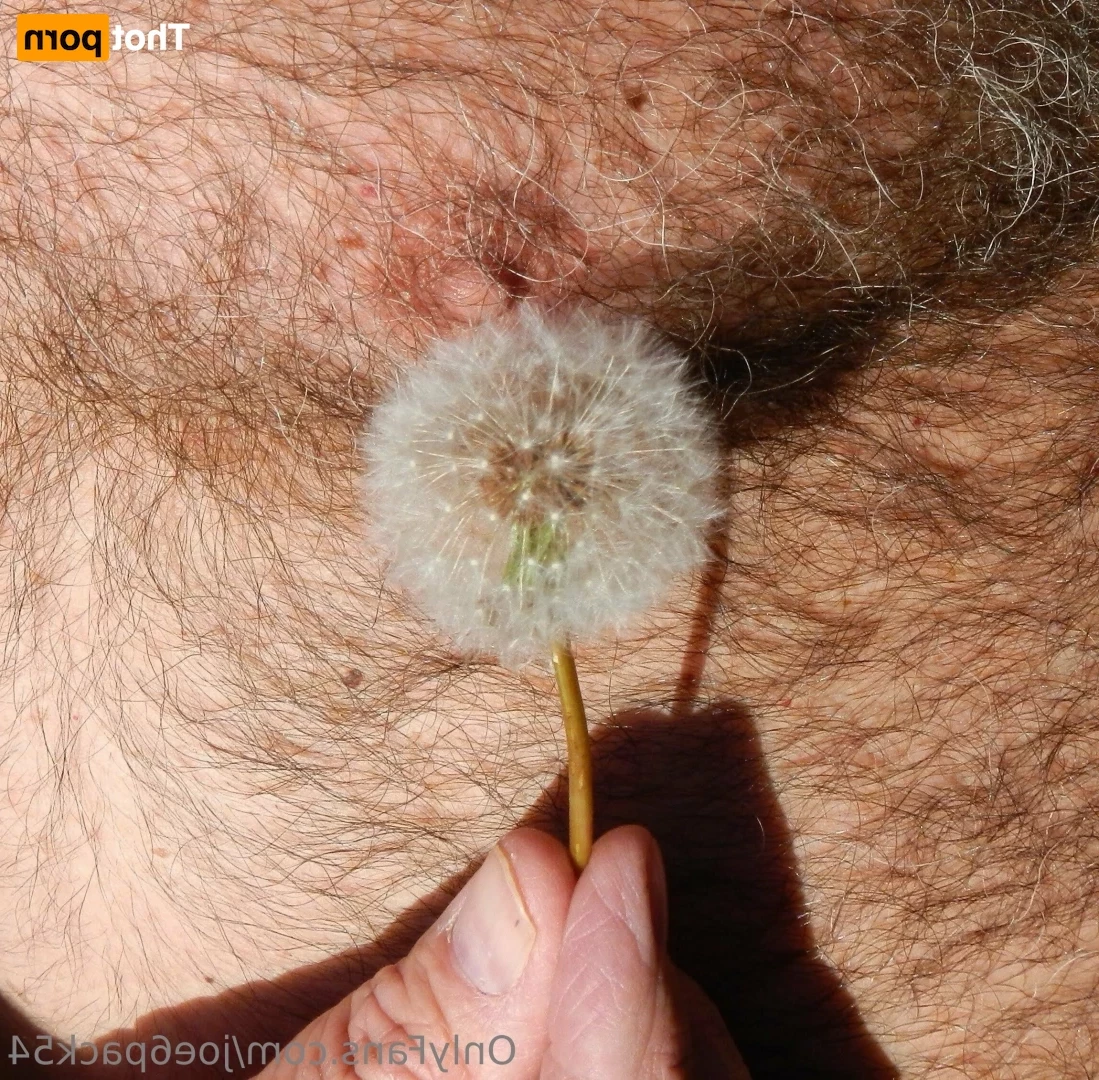 joe6pack54 Onlyfans leaked photo 18624987 on Hotleaks.tv