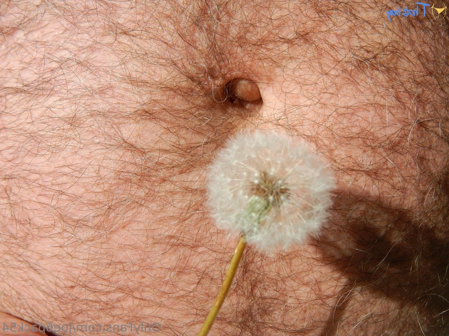 joe6pack54 Onlyfans leaked photo 18624988 on Hotleaks.tv