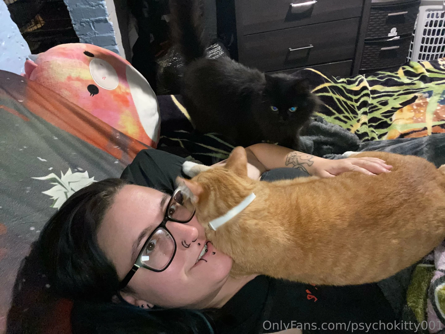 psychokitty424 Onlyfans leaked photo 18624060 on Hotleaks.tv