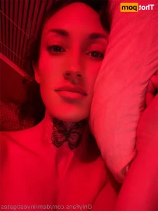 demiinvestigates