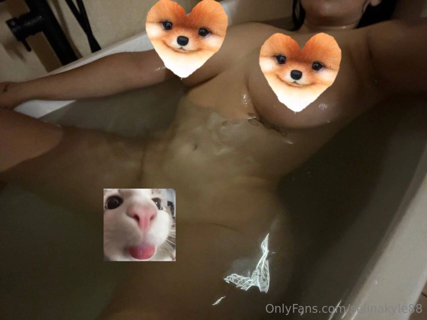 fridaberridioficial Onlyfans leaked photo 18628271 on Hotleaks.tv