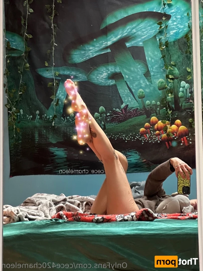 cece420chameleon Onlyfans leaked photo 18630197 on Hotleaks.tv