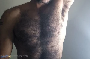 18629203