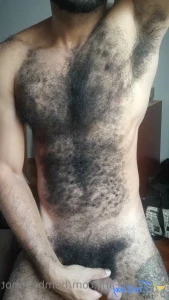 18629753